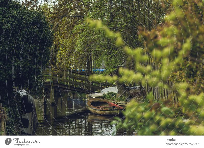 Niederländische Gracht Wohlgefühl ruhig Ferien & Urlaub & Reisen Sommer Wassersport Umwelt Schönes Wetter Baum Kanal Stavoren Niederlande Landkreis Friesland