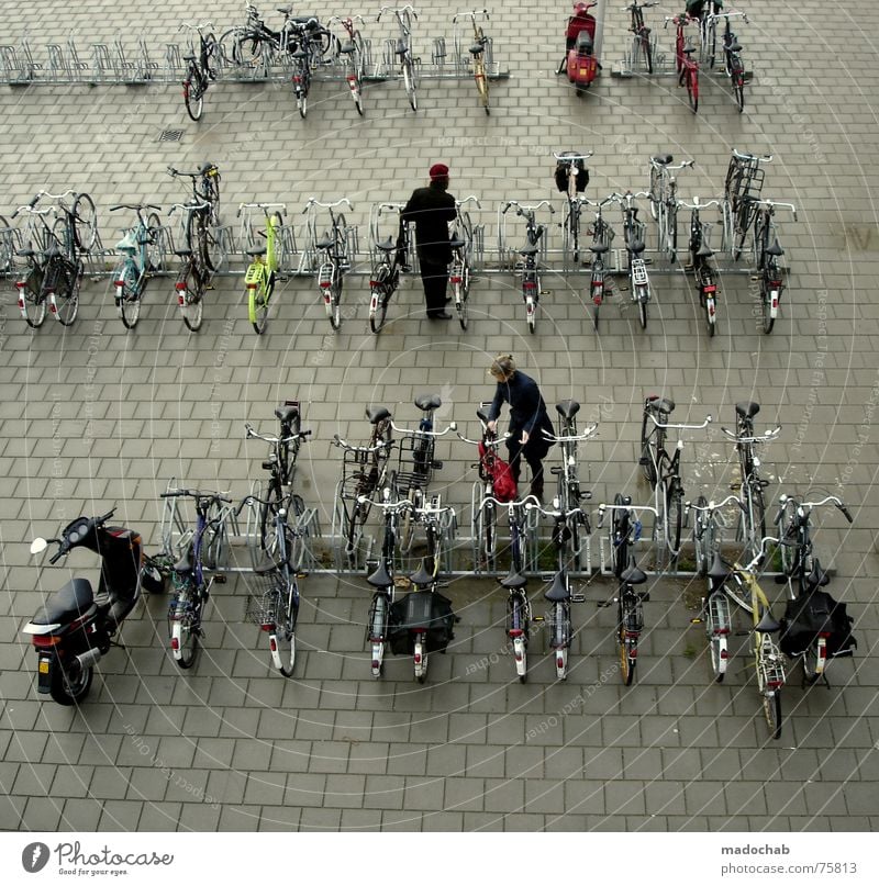 DUTCH TRAFFIC Fahrradparkplatz unten Schleuser Mensch parken Frau Stadt Asphalt grau Fußgänger Verkehr Muster Hintergrundbild Strukturen & Formen Quadrat