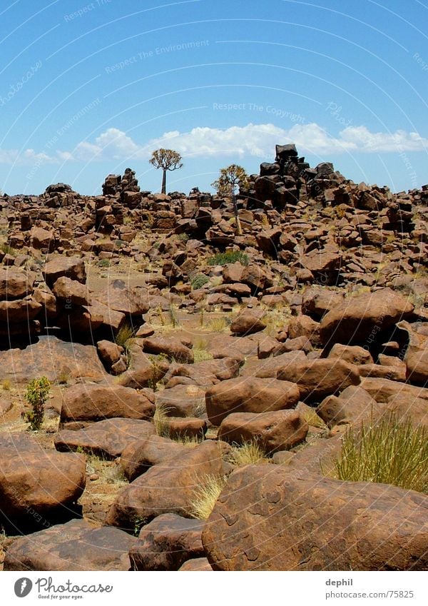 playground of the giants Namibia Afrika Ferien & Urlaub & Reisen Hügel Stein Felsen steinbrocken kookerboom ketmannshoop Natur Landschaft