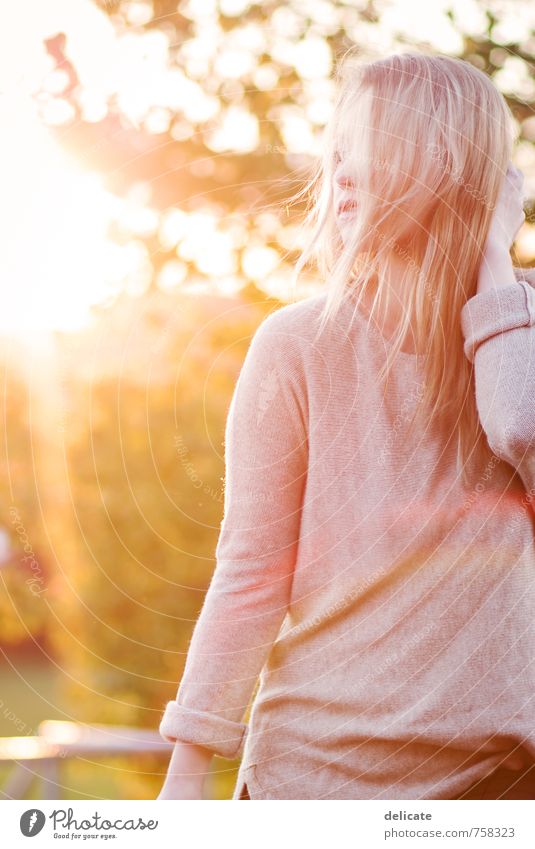 Standing in the way of the light feminin Junge Frau Jugendliche Haare & Frisuren 1 Mensch 18-30 Jahre Erwachsene Natur Sonne Schönes Wetter Baum Pullover blond