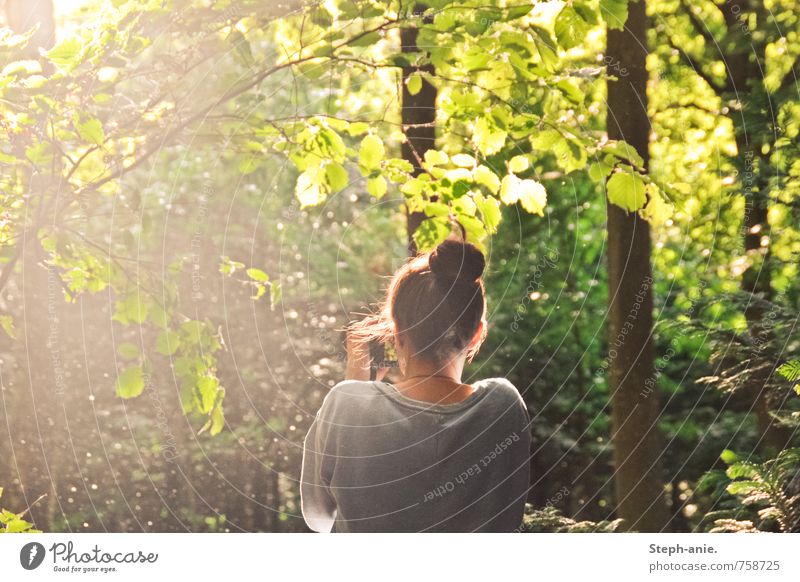 Im Zauberwald feminin Junge Frau Jugendliche Erwachsene 1 Mensch Natur Sommer Schönes Wetter Baum Sträucher Wald Dutt beobachten träumen natürlich grün Vorsicht