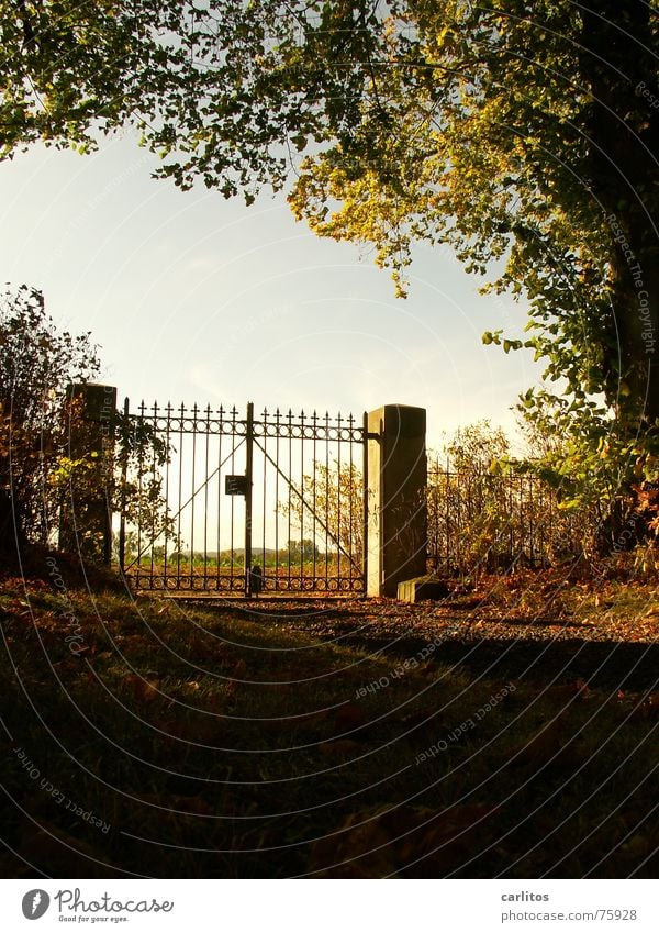 Der Blick zurück Tor Friedhof ruhig Unendlichkeit ruhen Tod Froschperspektive Gegenlicht Schmiedeeisen Schmiedekunst Pfosten Herbst Stimmung Trauer vergessen