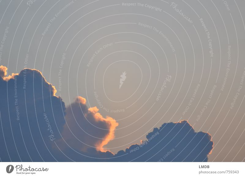 Wolke 7 Luft Himmel Wolken Sonnenaufgang Sonnenuntergang Sonnenlicht blau gold Abenddämmerung Wolkenhimmel Himmel (Jenseits) himmlisch Zufriedenheit