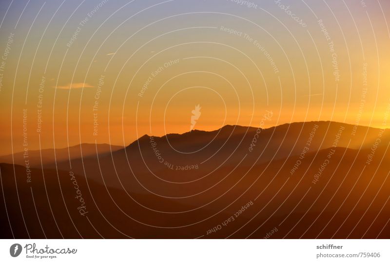 Goldpuder Umwelt Natur Landschaft Himmel Sonne Sonnenaufgang Sonnenuntergang Sonnenlicht Klima Klimawandel Wetter Schönes Wetter Hügel gelb orange rot schwarz