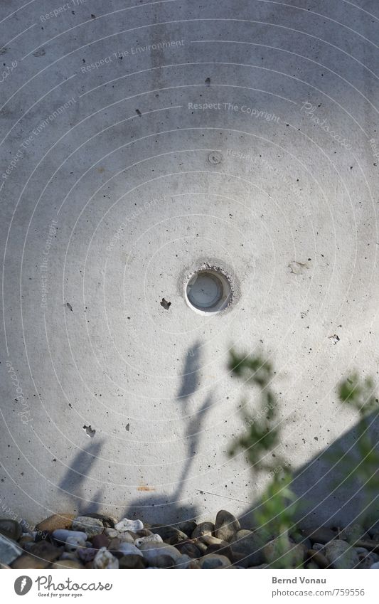 Ortsichtbeton ruhig Sonne Pflanze Wärme Stadt Mauer Wand grau grün Kies Loch rund Farbfoto Außenaufnahme Strukturen & Formen Menschenleer Textfreiraum oben Tag