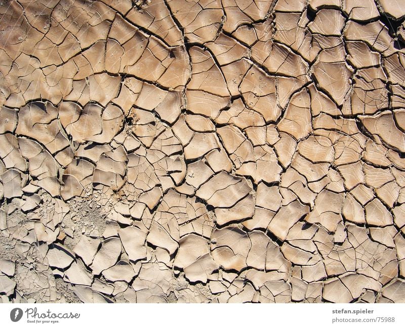 trocken braun heiß Verlauf Riss Erde Wüste Bodenbelag dry desert Fliesen u. Kacheln