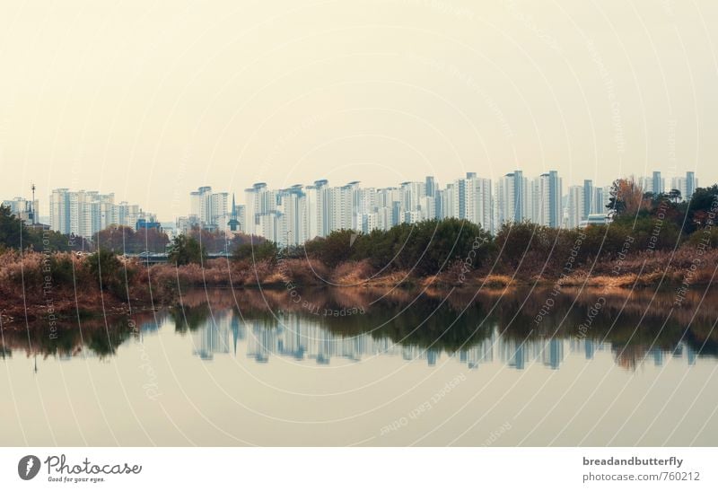 Reflektion Wasser Flussufer Süd Korea Asien Stadt Haus Hochhaus kalt trist modern Symmetrie Wachstum Farbfoto Außenaufnahme