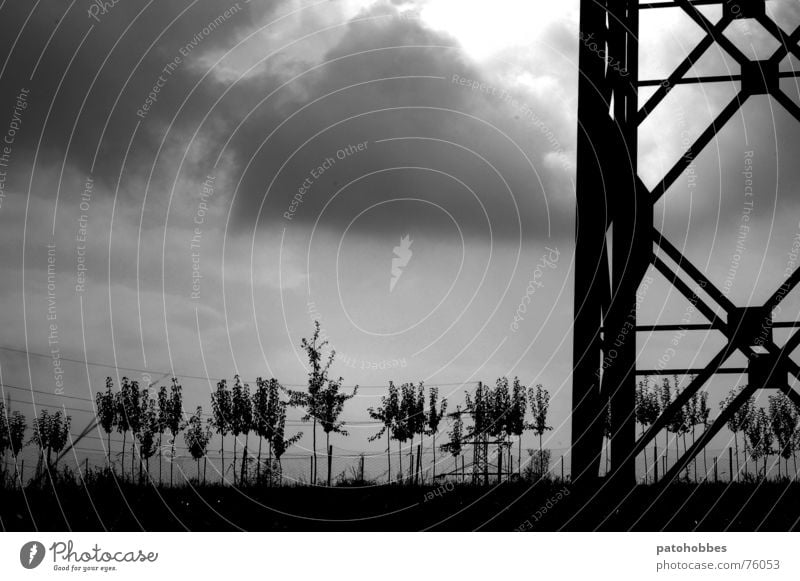 Herbst 06.2 Wolken schlechtes Wetter dunkel grau Regenwolken Strommast groß Baum klein Reifezeit Wiese Industrialisierung Außenaufnahme Elektrizität Himmel