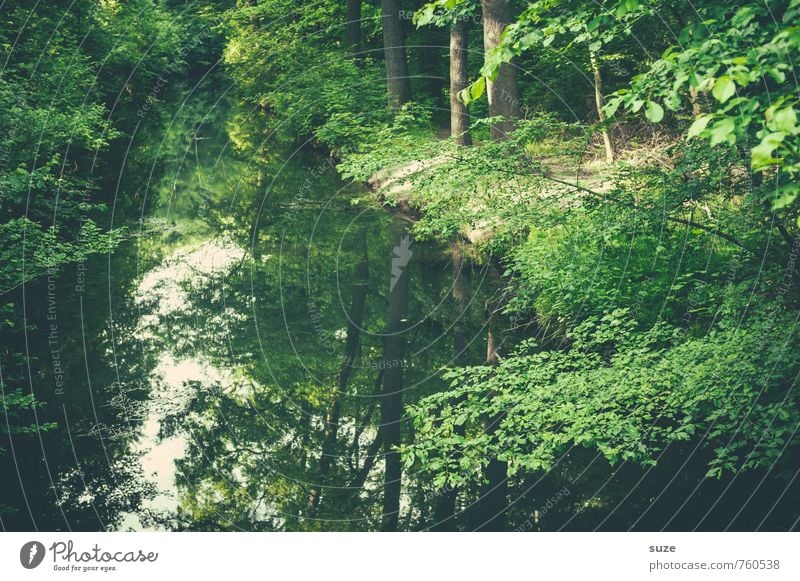 Kanal steht auf Grün harmonisch Zufriedenheit ruhig Freizeit & Hobby Umwelt Natur Landschaft Pflanze Wasser Klima Baum Park Flussufer See Oase Wachstum