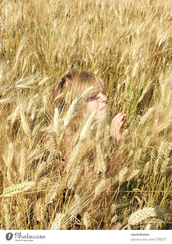 fräulein weizen Weizen Fräulein blond Haarwaschmittel Außenaufnahme Haare & Frisuren Natur