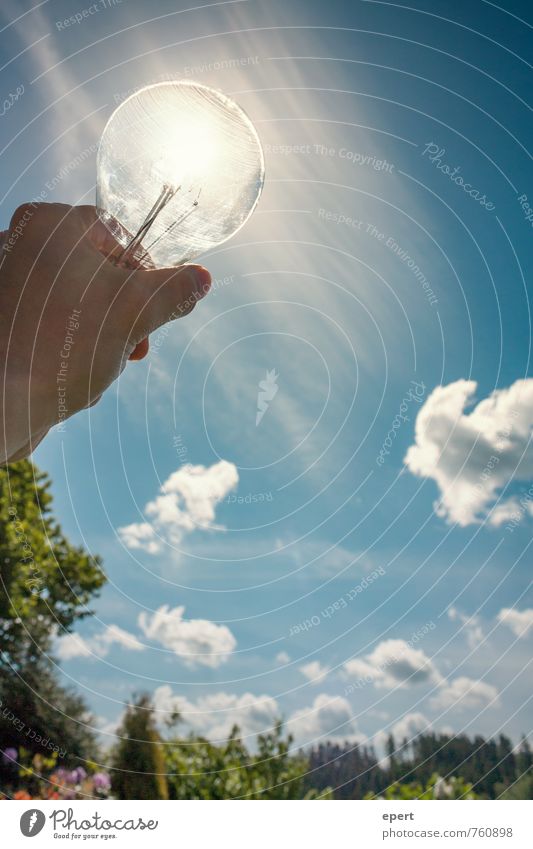 Erneuerbare Energie Technik & Technologie Energiewirtschaft Sonnenenergie Natur Landschaft Himmel Sonnenlicht Garten Glühbirne entdecken leuchten Fortschritt