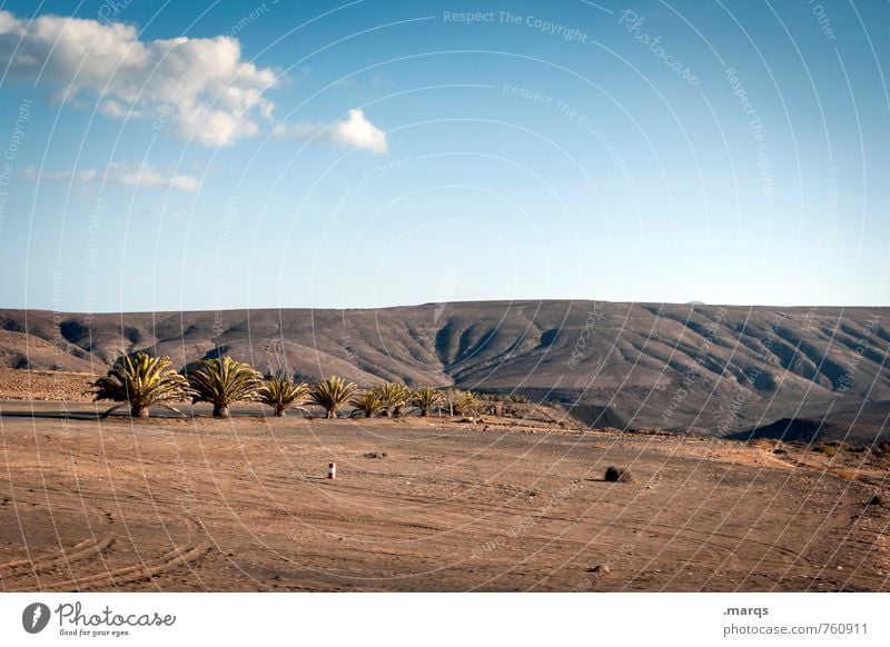 Allee Abenteuer Ferne Natur Landschaft Himmel Horizont Sommer Schönes Wetter Palme Hügel exotisch trocken Stimmung Dürre Farbfoto Außenaufnahme Menschenleer