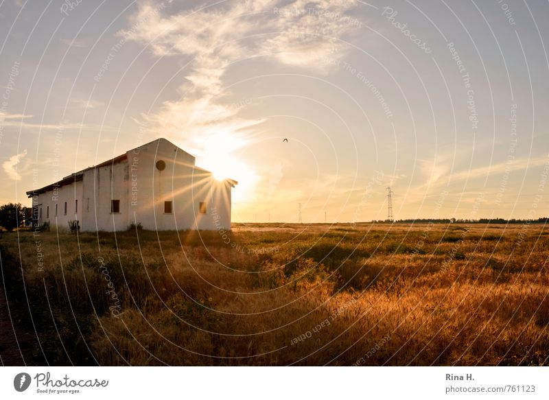 Spät II Landwirtschaft Forstwirtschaft Umwelt Natur Landschaft Himmel Horizont Frühling Sommer Schönes Wetter Feld Gebäude leuchten Lebensfreude Strommast