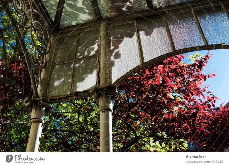 Bonn Häusliches Leben Wohnung Haus Garten Pflanze Baum Sträucher Park Stadt Stadtzentrum Altbau Terrasse Metall alt ästhetisch Frühlingsgefühle Außenaufnahme