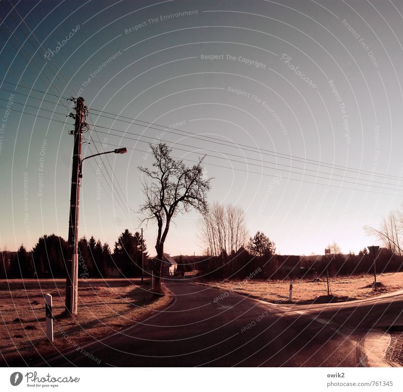 Zwischen den Dörfern Energiewirtschaft Strommast Kabel Wolkenloser Himmel Horizont Schönes Wetter Baum Verkehr Straße Kurve dunkel Farbfoto Gedeckte Farben