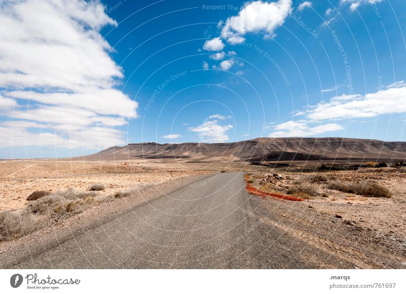 On the Road Ferien & Urlaub & Reisen Ausflug Abenteuer Ferne Freiheit Umwelt Natur Landschaft Himmel Wolken Horizont Sommer Schönes Wetter Sträucher Hügel