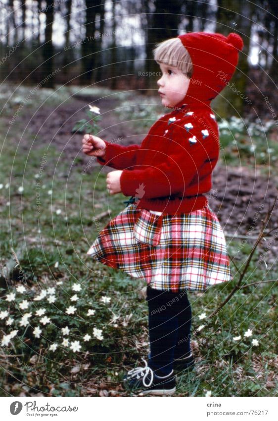 Ein Männlein (oder Weiblein?) steht im Walde... Kind rot Mütze Blume kariert klein Silhouette Profil