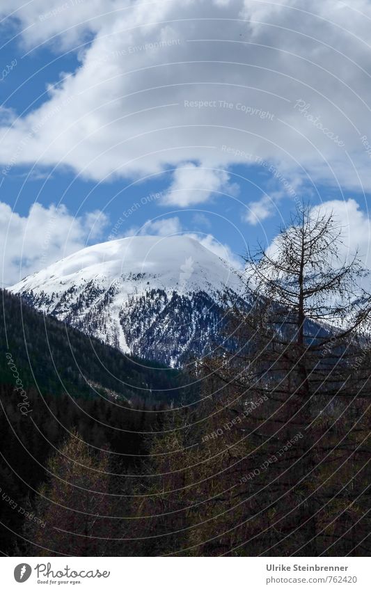 Abkühlung Ferien & Urlaub & Reisen Tourismus Berge u. Gebirge Umwelt Natur Landschaft Pflanze Himmel Wolken Frühling Schönes Wetter Baum Alpen