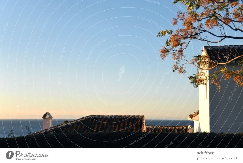 bodenständig | mit Meerblick Landschaft Himmel Wolkenloser Himmel Schönes Wetter Pflanze Baum Dorf Haus Einfamilienhaus Traumhaus Mauer Wand Dach Schornstein