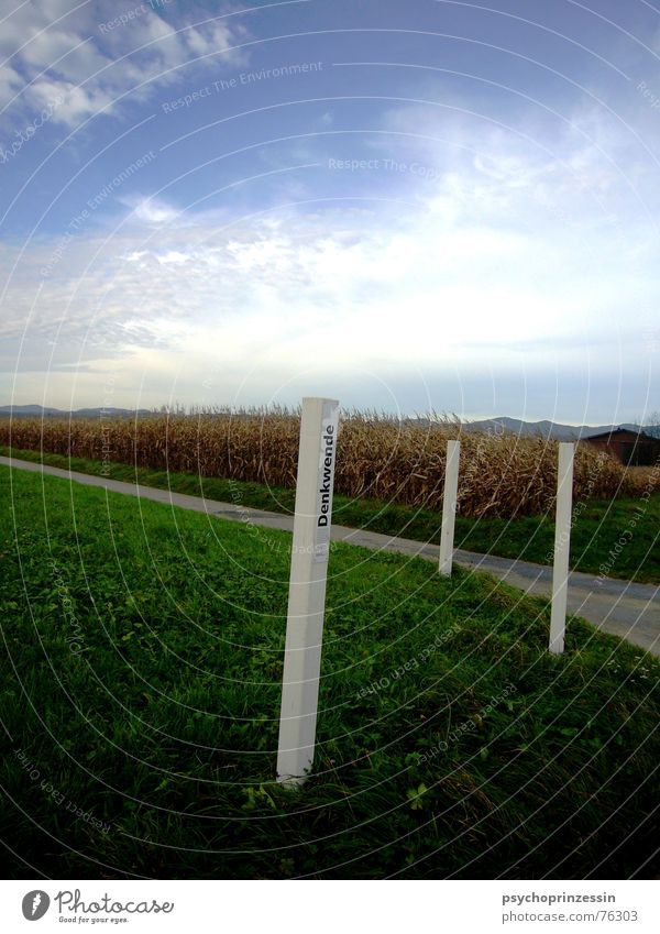 Wendepunkt weiß Denken Wiese Bauernhof Feld Weizen Herbst Amerika Landschaft Himmel Natur Wiedervereinigung Straße Wege & Pfade Perspektive