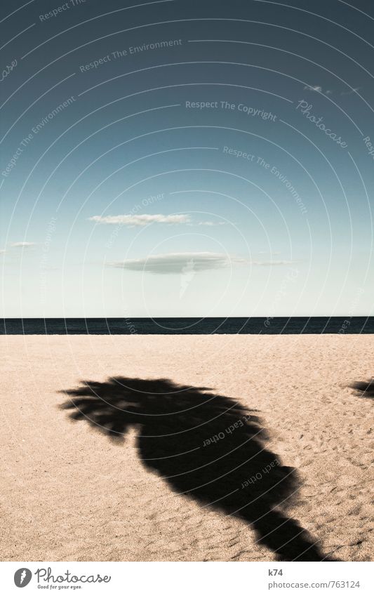 gestrandet Landschaft Urelemente Sand Luft Wasser Himmel Horizont Pflanze Baum exotisch Palme Küste Strand Meer frei hell Wärme blau ruhig Hoffnung demütig