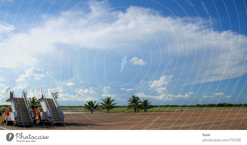 nach dem Gate Flugzeug Wolken Palme Fahrzeug Linie Wiese schön Physik heiß ruhig Krach flach Abschied einsteigen Nervosität erstaunt Punta Cana