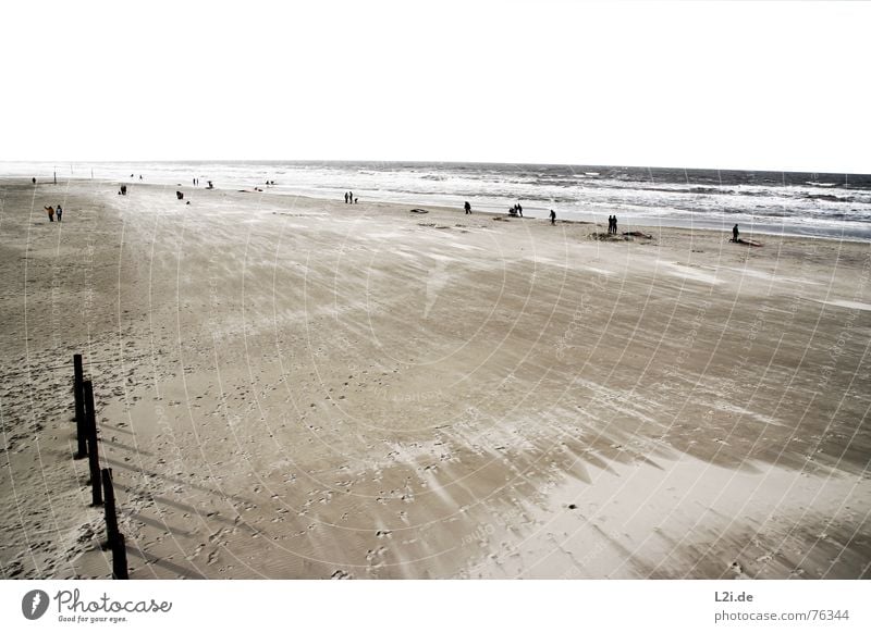 AT THE SEA Strand Meer See St. Peter-Ording Wellen Herbst Surfer Windsurfer Sturm Ferien & Urlaub & Reisen Oktober stehen Natur Sand Wasser Nordsee Mensch