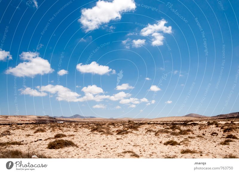 Überblick Ausflug Abenteuer Ferne Natur Landschaft Pflanze Urelemente Erde Sand Himmel Wolken Sommer Schönes Wetter Sträucher Hügel Erholung heiß schön trocken