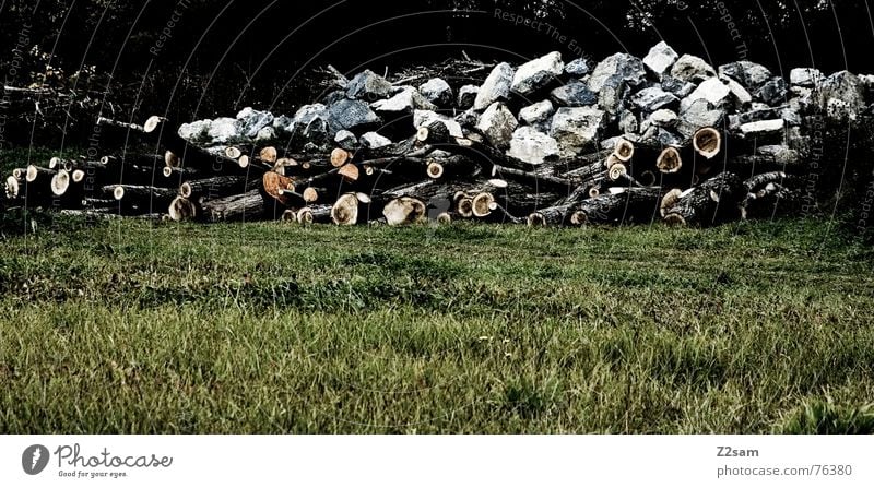 raw material Holz Säge Wald Wiese grün braun weiß Haufen Stein Felsen Baumstamm Natur Berge u. Gebirge