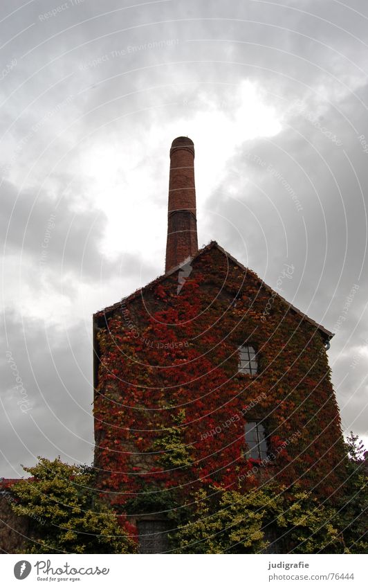 Kornbrennerei Haus Gebäude Spirituosen Backstein Wolken Herbst Blatt bewachsen Fenster Dorf Degersen historisch Industrie kornbrennerei Schornstein alt Alkohol