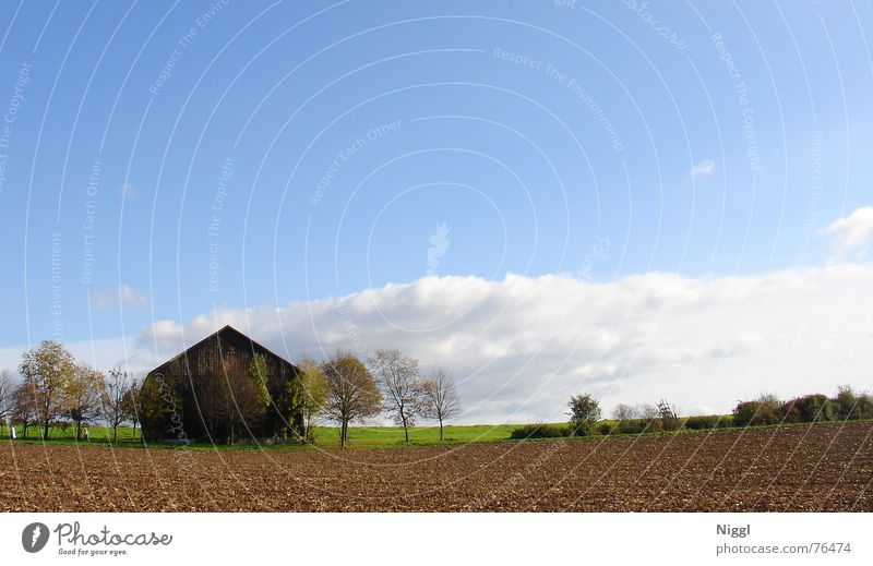 Last House On The Left Haus Scheune Holz Spaziergang Herbst Feld Landwirtschaft Wolken Hütte Himmel blau Landschaft Ferne Schönes Wetter niggl