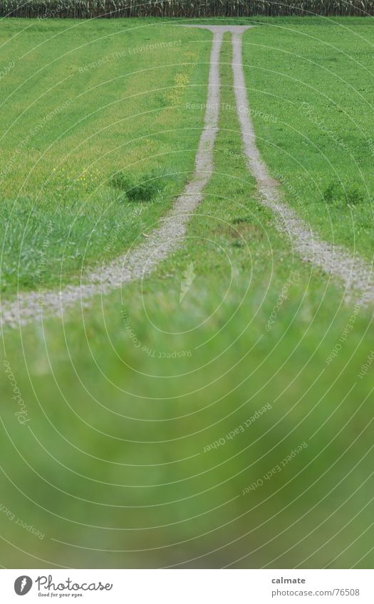 - greenway - Landweg Kies Wiese Feld Landwirtschaft Froschperspektive krabbeln Natur Straße Wege & Pfade Mischung