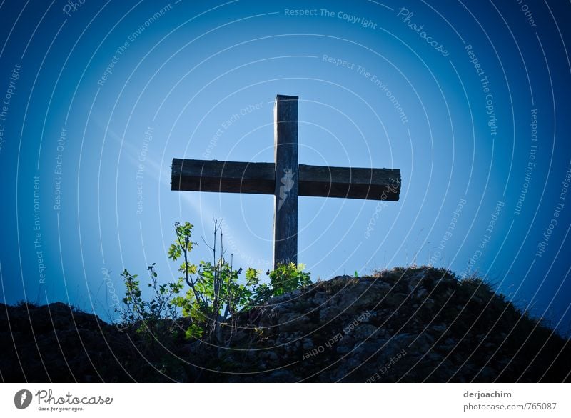 Gipfelkreuz auf einem Berg mit Pflanzen und blauem Himmel. Stil harmonisch Freizeit & Hobby Wanderausflug Klettern Bergsteigen Gebet Christliches Kreuz Natur