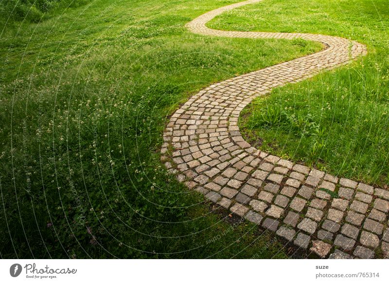 Abseits Freizeit & Hobby Sommer Garten Umwelt Natur Landschaft Pflanze Gras Park Wiese Wege & Pfade Linie außergewöhnlich fantastisch natürlich verrückt