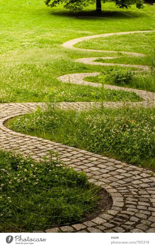 Oh, da läuft meine Motivation ... Freizeit & Hobby Sommer Umwelt Natur Landschaft Pflanze Baum Park Wiese Wege & Pfade Linie Wachstum außergewöhnlich