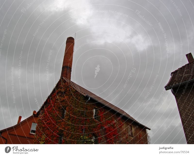 Kornbrennerei II Haus Gebäude Spirituosen Backstein Wolken Herbst Blatt bewachsen Fenster Dorf Degersen kornbrennerei Schornstein alt Alkohol Himmel Wein