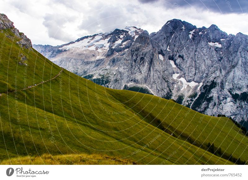 Der Weg ins Graue(n) Ferien & Urlaub & Reisen Tourismus Ausflug Abenteuer Ferne Freiheit Sommerurlaub Berge u. Gebirge wandern Umwelt Natur Landschaft Pflanze