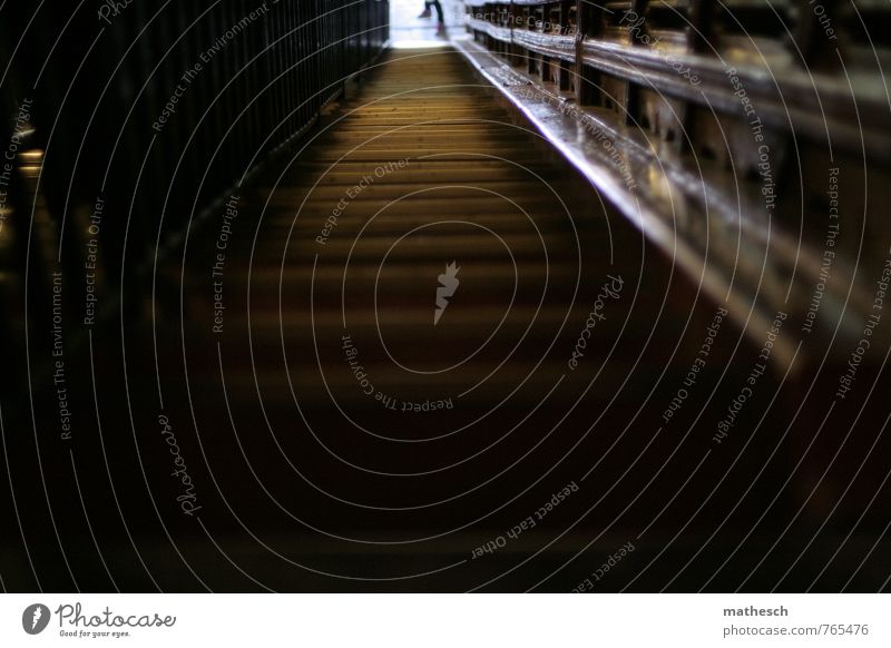 Licht am Treppe Treppenhaus Treppengeländer braun weiß steil dunkel Farbfoto Menschenleer Textfreiraum unten Tag Schatten Schwache Tiefenschärfe