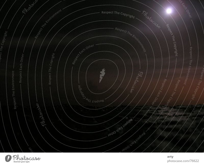 Vollmond über dem Deich Nacht Nebel mystisch Mond spooky