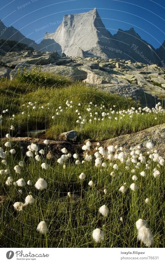 Piz Badile Top Schweiz Sommer mountain peak summit alps