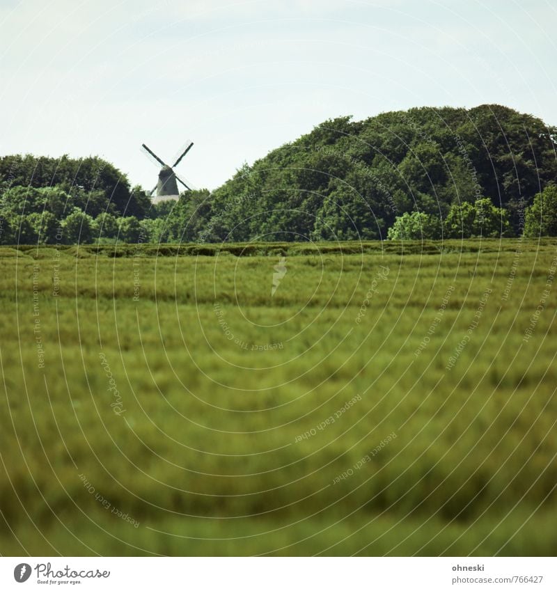 Mühlhausen Landschaft Sommer Baum Feld Wald Mühle Windmühle Windmühlenflügel Idylle nachhaltig Landleben Farbfoto Außenaufnahme Menschenleer Textfreiraum oben