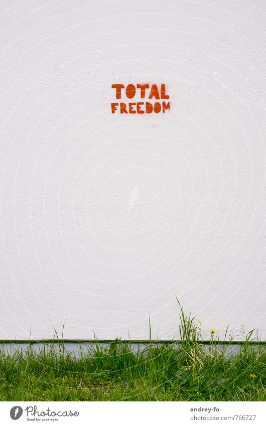 Total Freedom Kunst Mauer Wand Stein Beton Zeichen Schriftzeichen Graffiti Gerechtigkeit Kreativität Wunsch Ziel Zukunft Freiheit Politik & Staat Mauerpflanze