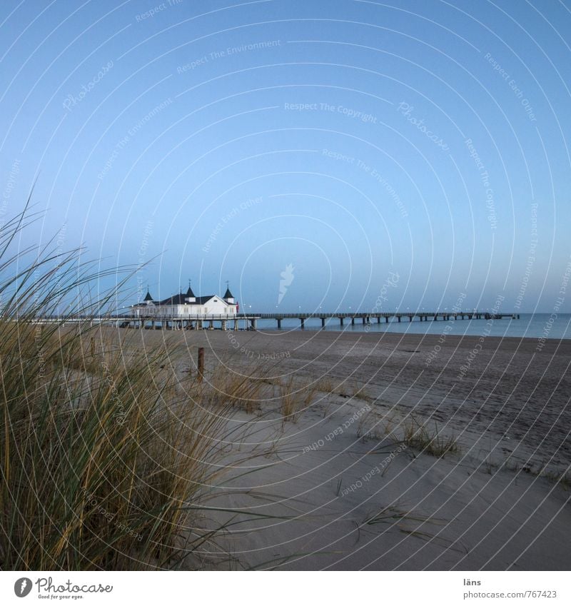 am morgen Ferien & Urlaub & Reisen Tourismus Ausflug Strand Meer Insel Winter Umwelt Natur Landschaft Sand Luft Wasser Himmel Wolkenloser Himmel Gras Dünengras