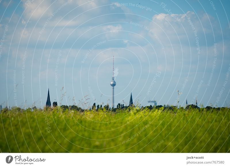 Berliner Fernsehturm unter freiem Himmel Luft Wolken Frühling Wiese Skyline Bekanntheit Ferne Idylle Mittelpunkt Hintergrund neutral Silhouette Sonnenlicht