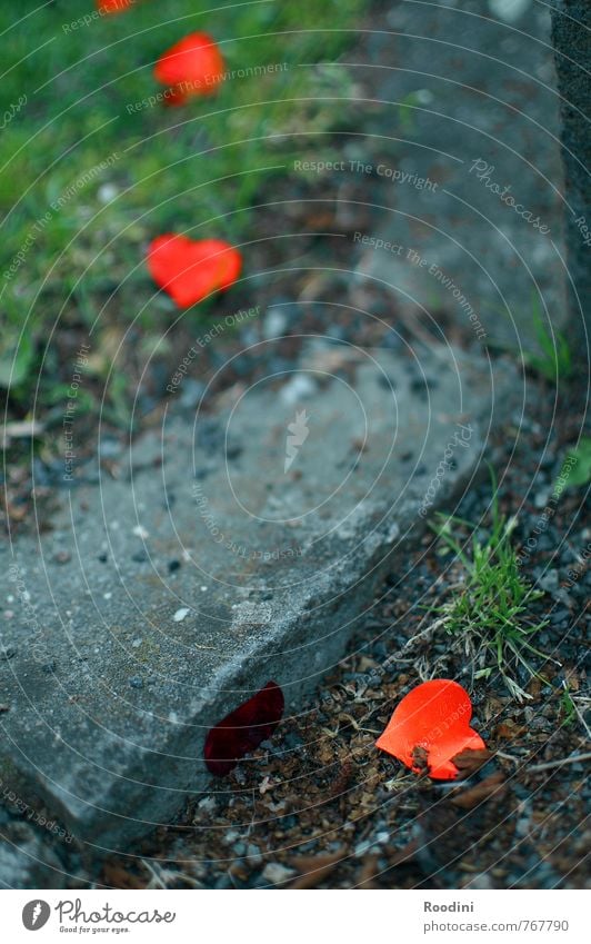 Auf und Ab der Gefühle Glück Valentinstag Muttertag Hochzeit Gartenarbeit Natur Erde Gras Wiese Park Dekoration & Verzierung Stein Herz Vertrauen Freundschaft