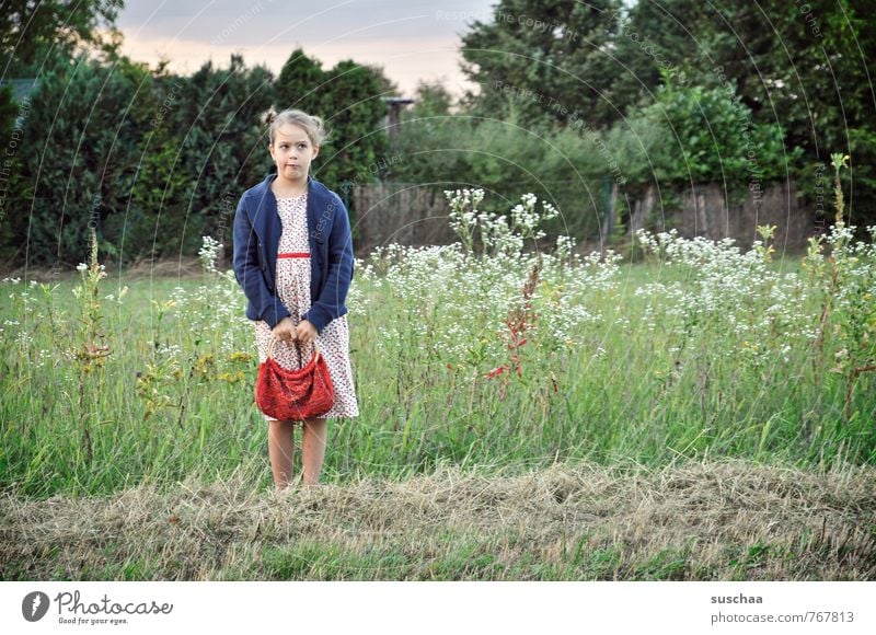 hm... feminin Mädchen Kind Kindheit Leben Körper Kopf Haare & Frisuren Gesicht 8-13 Jahre Umwelt Natur Sommer Gras Wiese frech retro Idylle Farbfoto