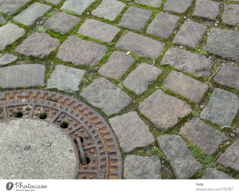 unten links Umwelt Natur Pflanze Moos Grünpflanze Stein braun grau grün Kopfsteinpflaster Gully Kiel Bodenbelag Farbfoto Gedeckte Farben Außenaufnahme abstrakt