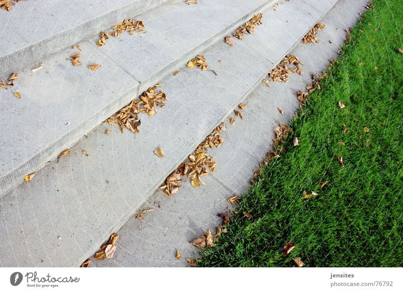 frühling Gras Herbst Blatt Jahreszeiten Leidenschaft trist kalt grün grau Natur Treppe Rasen Stein stone seasons autoumn cold step leaf leafs