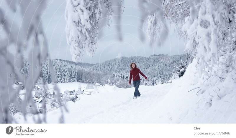 Die Welt als Märchen gemütlich Winter kalt Baum Tanne Aussicht Dorf Wald Vorfreude frieren genießen Spielen weich schön rot Schnee Schneelandschaft Freude Frau