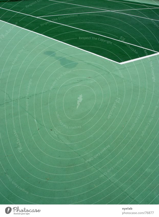 Betonrasen Missgeschick Hund See gelb grün weiß Tennis Sportplatz Wimbledon Grand Slam Sportveranstaltung Spielen Erfolg Hoffnung Verlierer Urin dog piss white